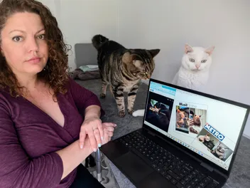 When Breeding Becomes Cruel: The Problem with Designer Cats