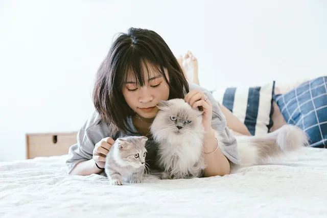 How to Get Cats to Get Along: 9 Tips & Tricks