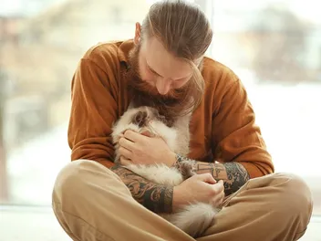 6 Reasons Cat-Sitting Jobs Are Awesome