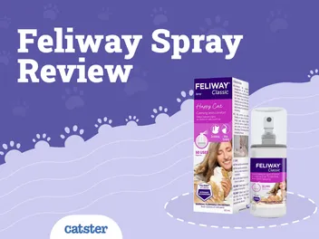 Feliway Pheromone Spray Review of 2026: Recalls, Pros & Cons