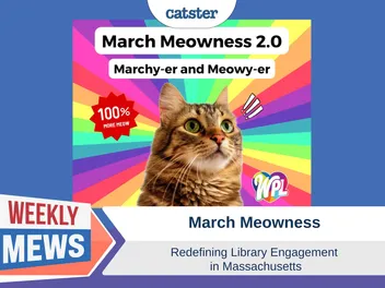 March Meowness – Redefining Library Engagement in Massachusetts