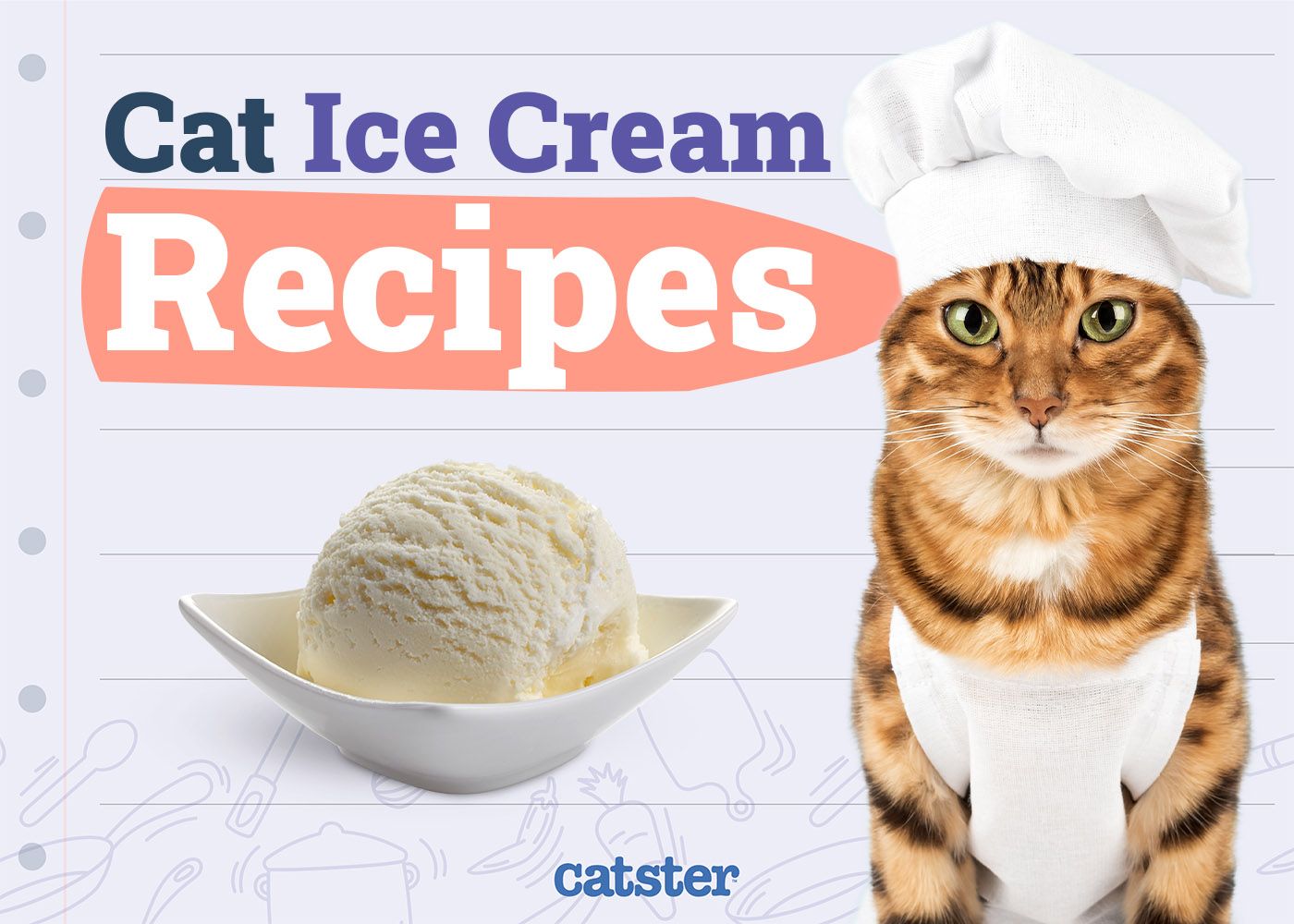 Homemade Cat Ice Cream Recipes