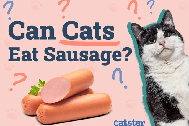 Can Cats Eat Sausage? Vet-Reviewed Nutritional Facts & FAQ