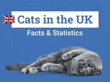 17 UK Cat Statistics & Facts All Cat Lovers Should Know (2026 Update)