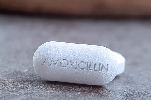 Amoxicillin for Cats: Our Vet Explains Uses, Doses & Side Effects