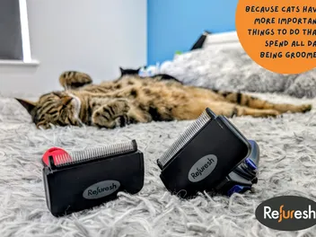The Refuresh Deshedding Tool - It’s No Ordinary Brush