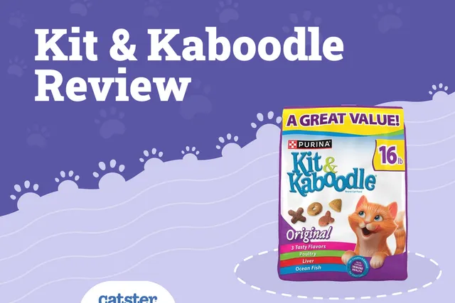Kit & Kaboodle Cat Food Review of 2026: Recalls, Pros & Cons