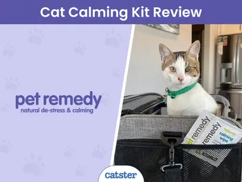 Pet Remedy Kitten Calming Kit Review 2026: Pros, Cons, & Our Verdict