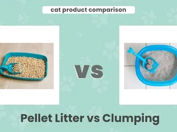 Pellet Litter vs Clumping: Our 2026 Comparison, Pros & Cons