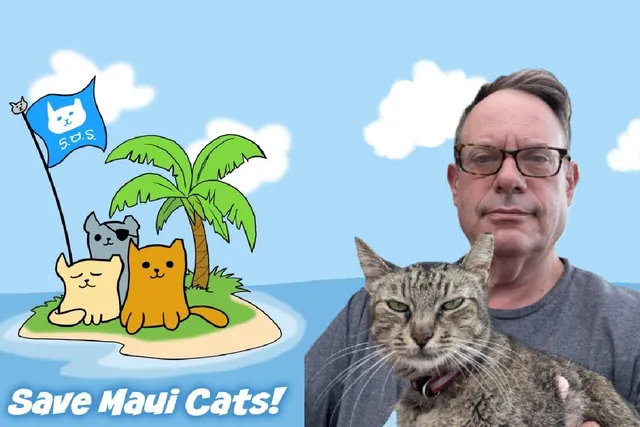 The Cat Man of Maui: Saving Hawaii’s Stray Cats Against All Odds