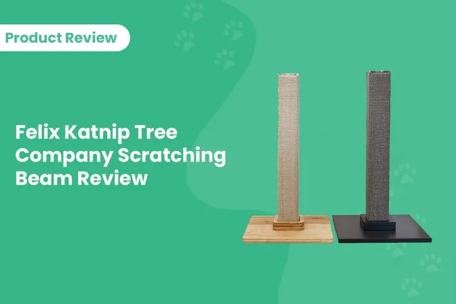 Felix Katnip Tree Company Scratching Beam Review 2026: Pros, Cons & Verdict