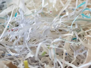Can You Use Shredded Paper for Cat Litter? Vet-Approved Facts & Tips