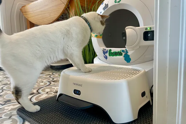 Neakasa AirStep Odor-Eliminating Cat Litter Box Step Review 2026: Our Expert’s Opinion