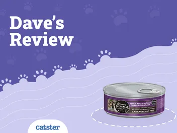 Dave’s Cat Food Review of 2026: Recalls, Pros & Cons
