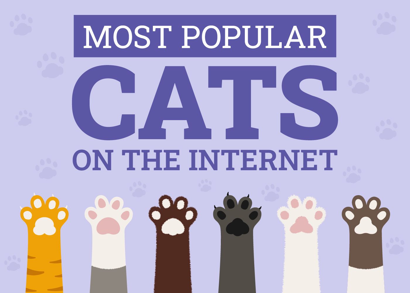 The 34 Most Popular Cats on the Internet in 2026