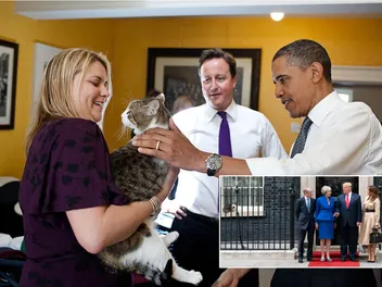 Celebrating 15 Years as the Most Popular Resident of No. 10 Downing Street