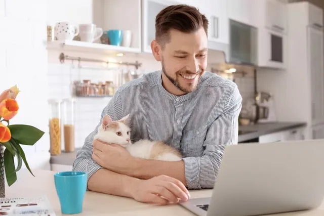 Registering a Cat as an Emotional Support Animal: Vet-Reviewed Steps & Tips