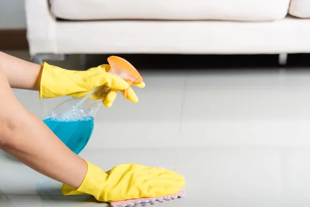 How to Get Rid of Cat Spray Smell: 6 Tips & Home Remedies