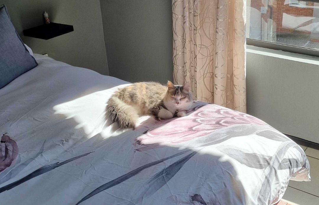 Looking like a little angel