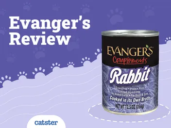 Evanger Cat Food Review in 2026: Reviews, Pros & Cons