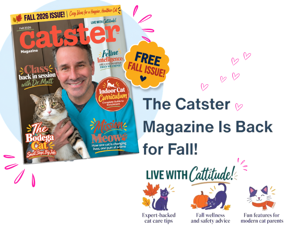 The Catster Digital Magazine: Fall 2026 Issue