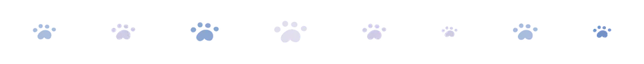divider 3 paws