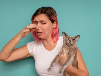 Why Does My Cat Smell Like Rotten Eggs? Our Vet Discusses Reasons & Tips