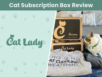CatLadyBox Subscription Review 2026: A Detailed Look