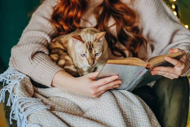 Ghost Stories Starring Cats: 6 Spooky Tails