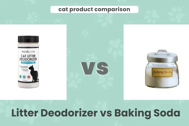 Litter Deodorizer vs Baking Soda: Our 2026 Comparison, Pros & Cons