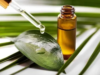 Does Tea Tree Oil Kill Fleas on Cats? Effectiveness & Safety Reviewed by Our Vet