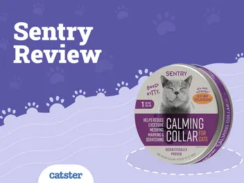 Sentry Calming Collar for Cats Review 2026: Pros, Cons & FAQ