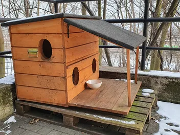 9 DIY Outdoor Cat House Plans You Can Make Today (With Pictures)