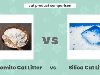 Diatomite vs Silica Cat Litter: Vet-Reviewed Differences Explained