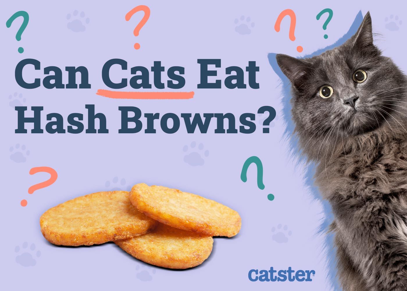 Can Cats Eat Hash Browns