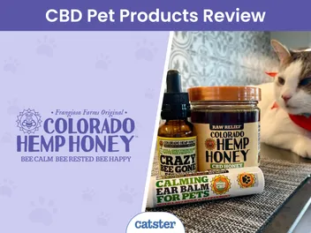 Colorado Hemp Honey Review 2026: A Detailed Look