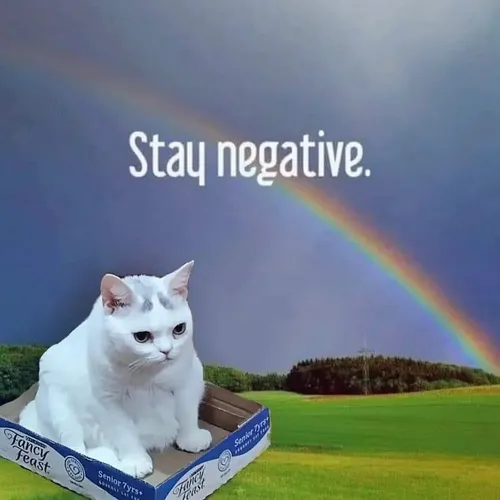 The Best Advice