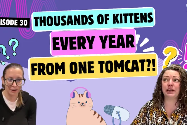 Chatting About the Importance of Spaying/Neutering, Cat Retail Shopping Ban & Red-Level Storms | Chatty Cattys, Episode 30