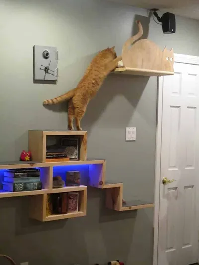 Cat Adventure Wall