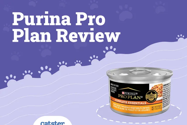 Purina Pro Plan Cat Food Review of 2026: Recalls, Pros & Cons