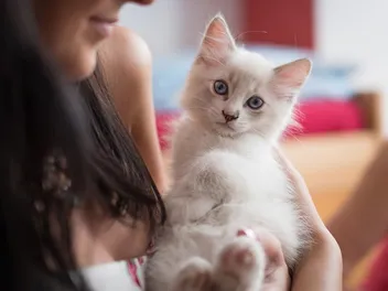 How Long Can You Leave a Kitten Home Alone? Vet Approved Tips