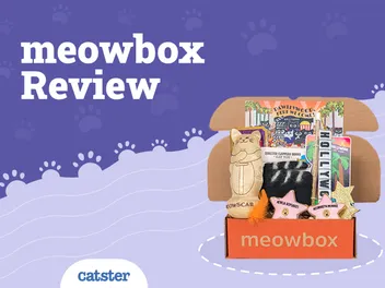meowbox Subscription Review in 2026: Our Experts Opinion