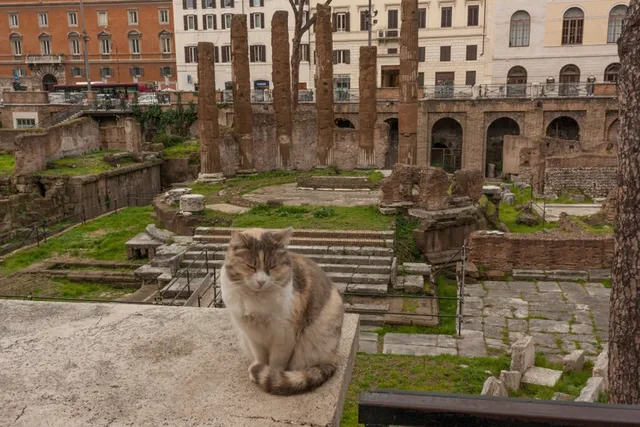 Cat Pawprints Have Been Found in 600 Year Old Book: Here's the Photo