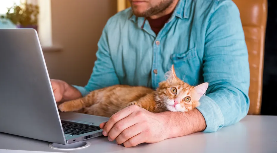 man-with-cat-using-laptop