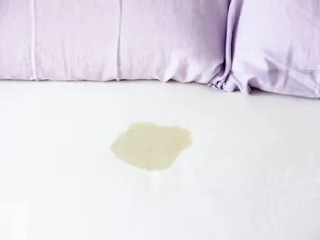 How to Find Cat Urine Without a Blacklight: 5 Simple Methods
