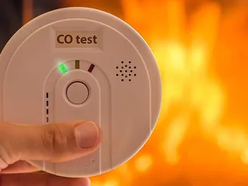 Can a Cat Detect Carbon Monoxide? The Interesting Answer! (Vet Reviewed)