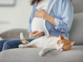 Can You Scoop Cat Litter When Pregnant? Concerns & 8 Safety Tips