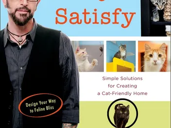 Catify to Satisfy by Jackson Galaxy & Kate Benjamin (2026 Review)