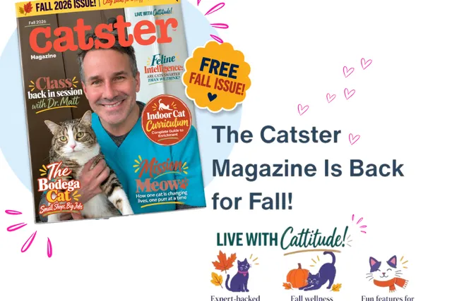 The Catster Digital Magazine: Fall 2026 Issue