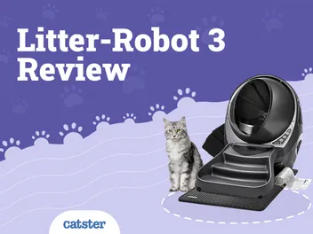 Litter-Robot 3 Review 2026: Pros, Cons & Verdict